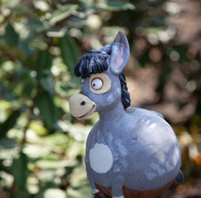 Donkey